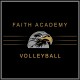 Falcons Volleyball Stripes Posi-UV® Pro T-Shirts - 3 Styles