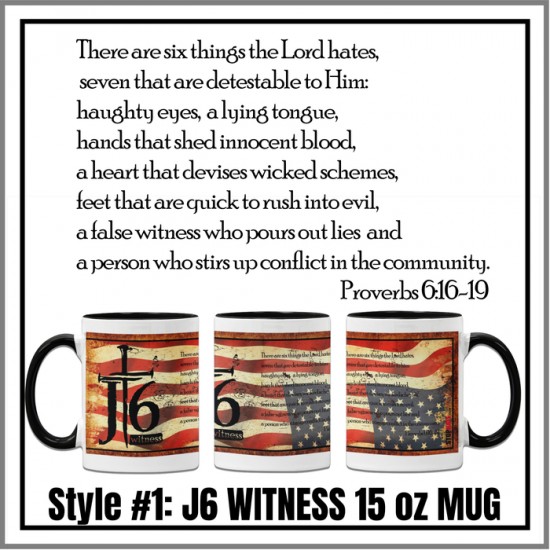 Stop Hate J6 Witness Mug 15 oz